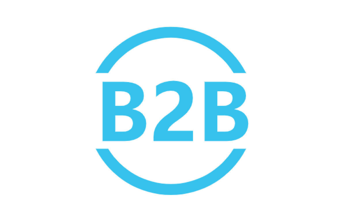 外贸B2B独立品牌站建设：从零到一的全方位实战指南