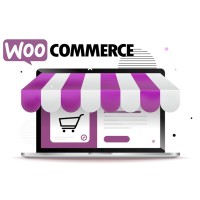 高性能全能VPS响应式营销SEO SEM wordpress wp woocommerce 跨境电商商城网站建设服务