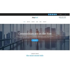 Hayford - Investment Consulting Services Responsive WordPress Theme