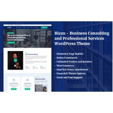 Bizzu - Business Consulting and Professional Services