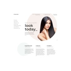 Stylone - Beauty Hair Salon WordPress Elementor Theme