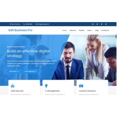 Soft Business Pro - Clean and Modern WordPress Business Theme