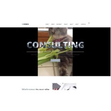 Invenio - Classy Financial Advisor WordPress Theme