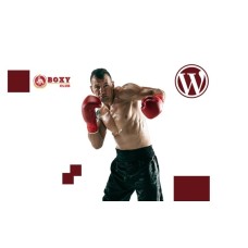 Boxy Boxing And Martial Arts WordPress Theme
