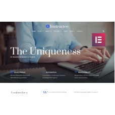 Instructee - Consulting Services WordPress Elementor Theme
