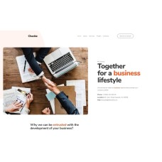 Checkiz - Business Marketing WordPress Elementor Theme