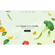 Cauliflower - Organic Food Blog WordPress Elementor Theme