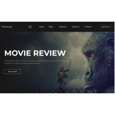 TishMovies - Film Director and Movie Reviews WordPress Theme