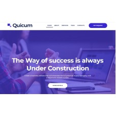 Quicum - Business Multipurpose Classic WordPress Elementor Theme