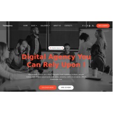 TishAgency – Digital Agency WordPress Theme