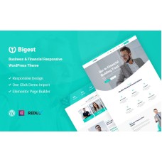Bigest - Financial Responsive WordPress Theme