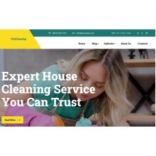TishCleaning - Cleaning Services WordPress Theme