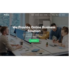 Raino - Digital Agency One page WordPress Theme